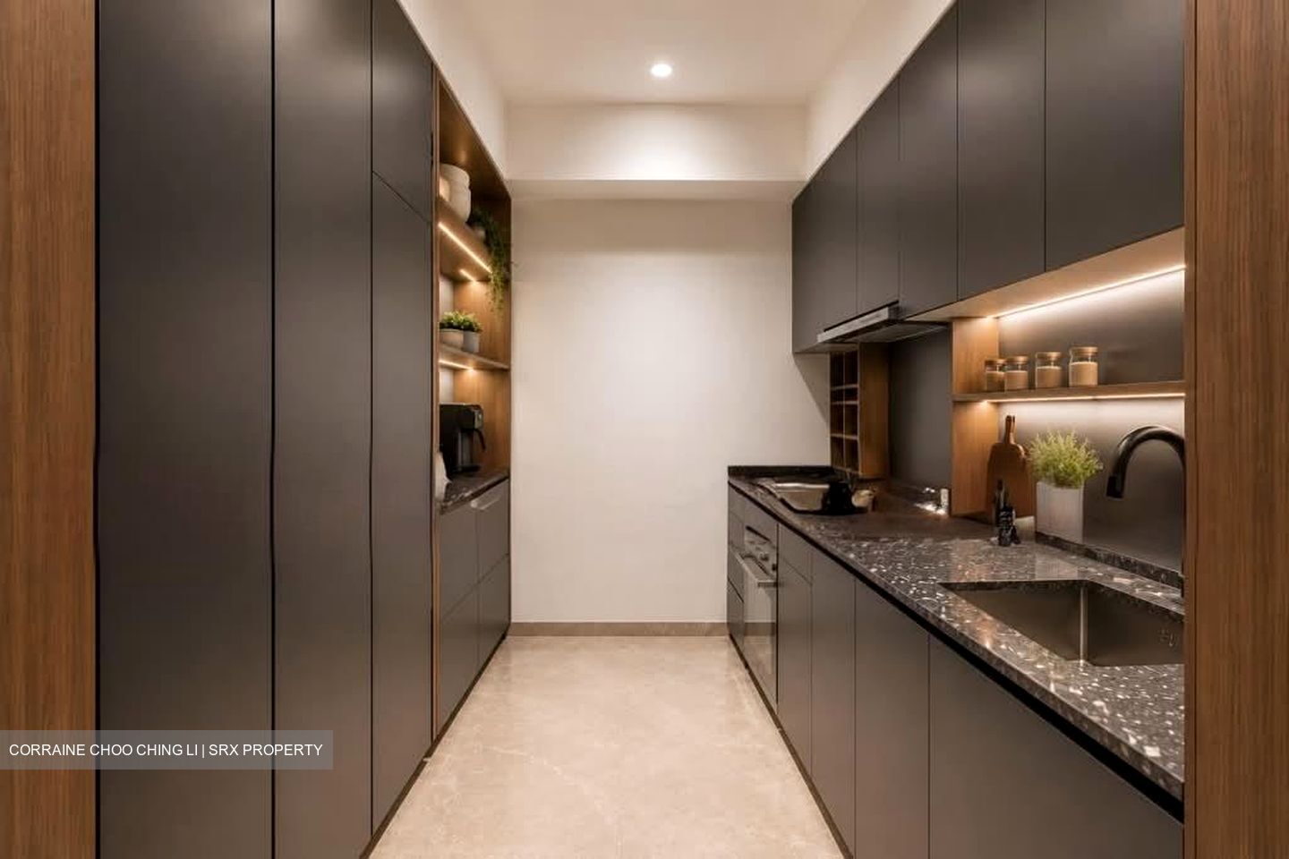 Daintree Residence (D21), Condominium #582825121